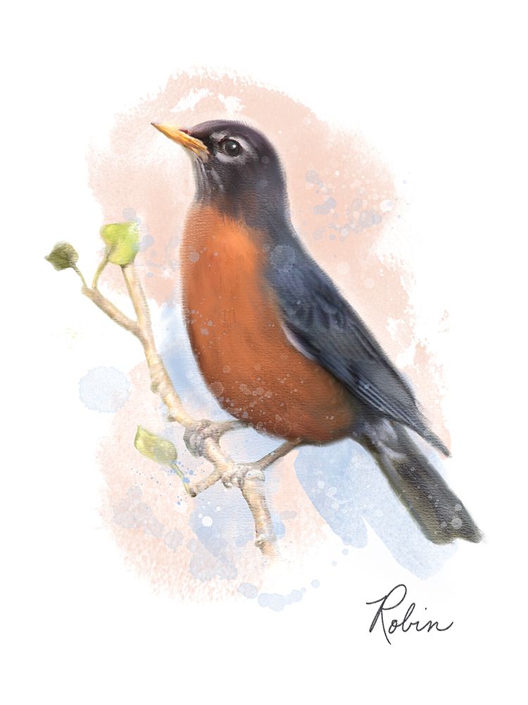 Robin art print by Matthew Piotrowicz for $57.95 CAD