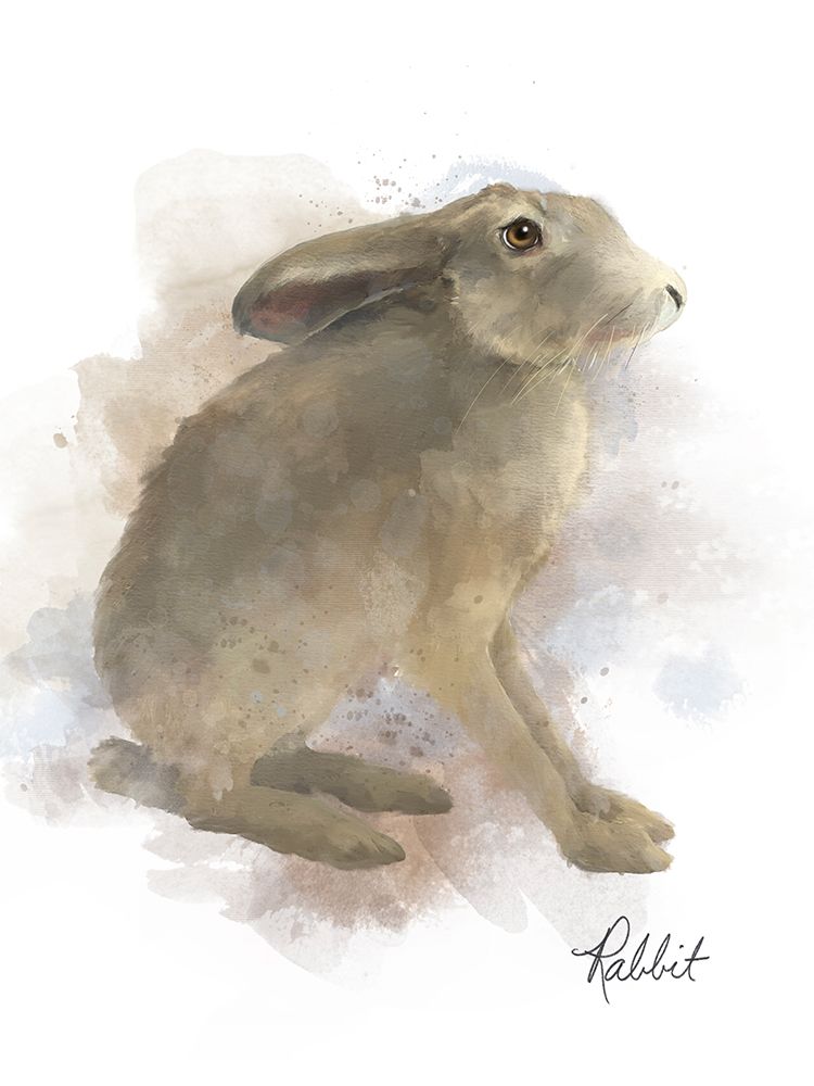 Easter Rabbit art print by Matthew Piotrowicz for $57.95 CAD