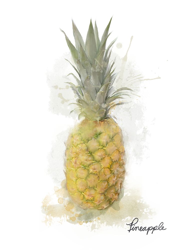 Pineapple art print by Matthew Piotrowicz for $57.95 CAD