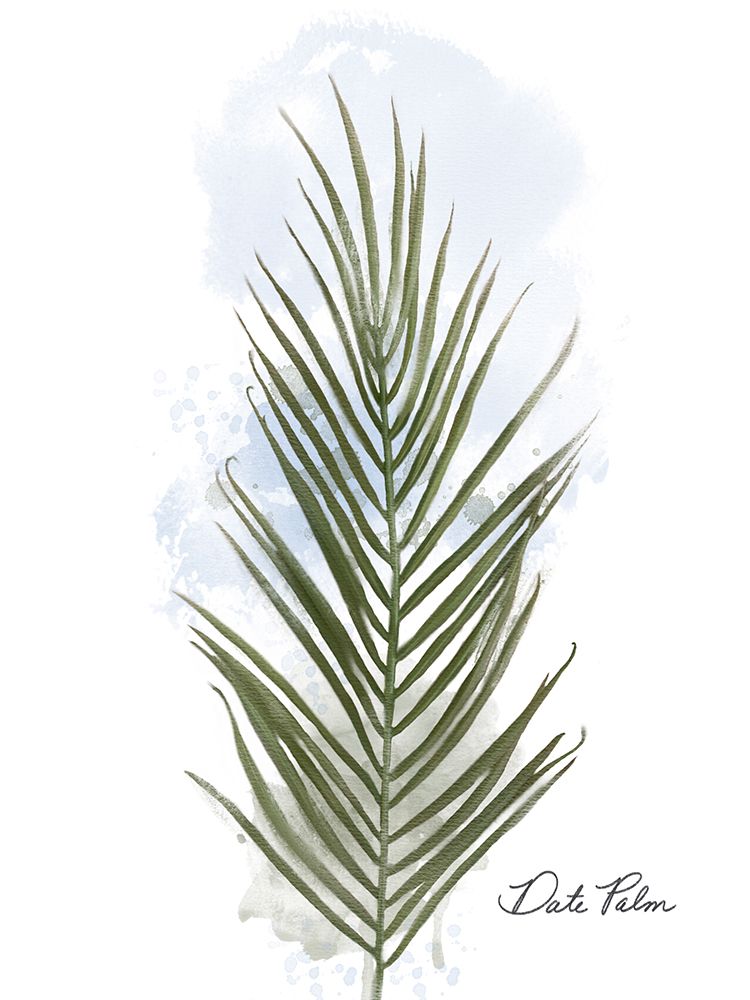 Date Palm art print by Matthew Piotrowicz for $57.95 CAD