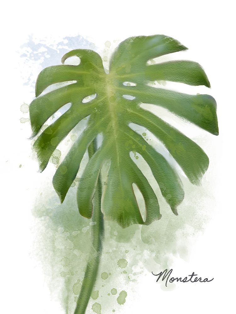Monstera art print by Matthew Piotrowicz for $57.95 CAD