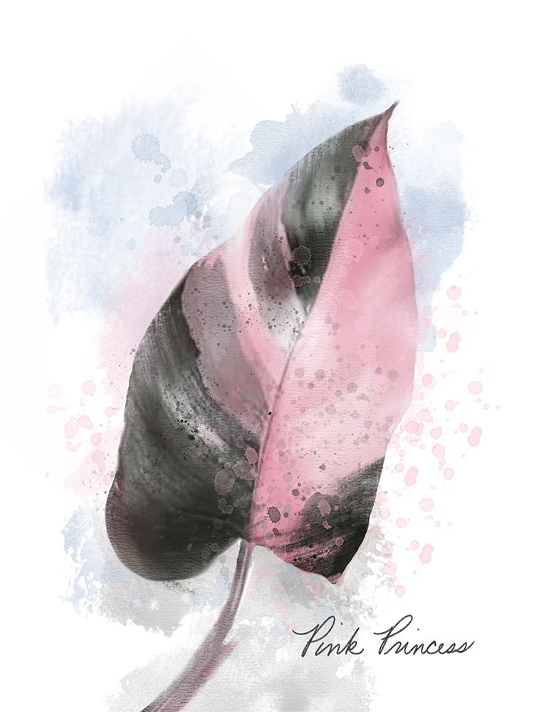 Pink Lady art print by Matthew Piotrowicz for $57.95 CAD