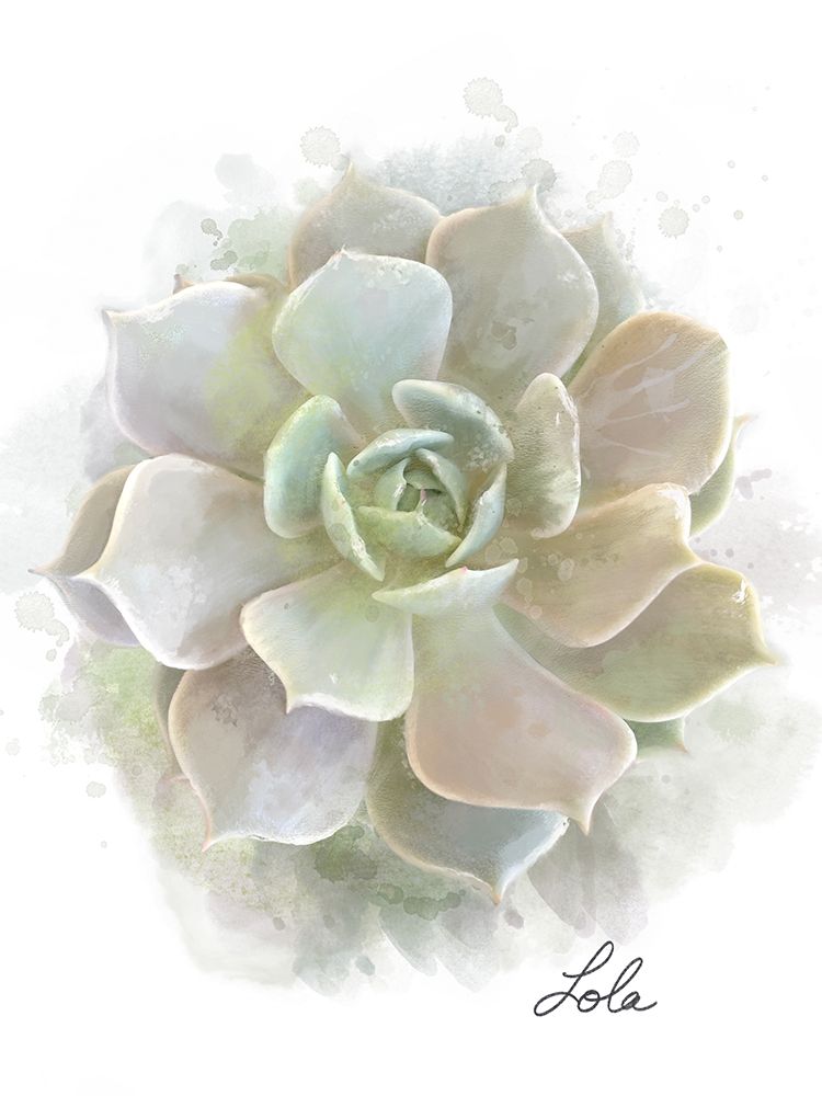 Succulent Lola art print by Matthew Piotrowicz for $57.95 CAD
