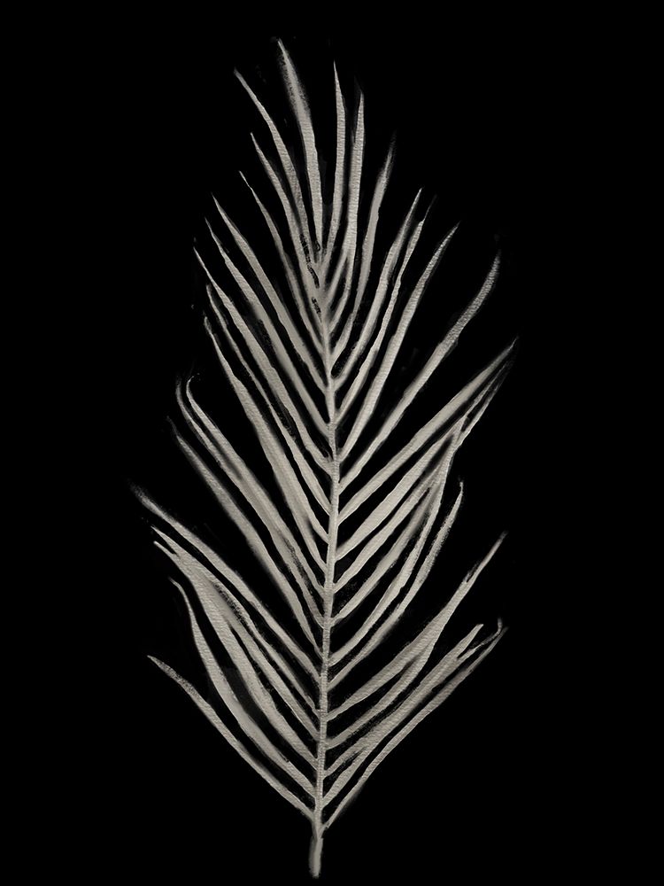 Botanical Date Palm Black art print by Matthew Piotrowicz for $57.95 CAD