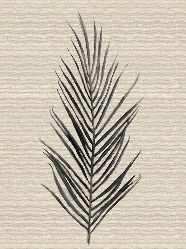 Linen Botanical Date Palm art print by Matthew Piotrowicz for $57.95 CAD