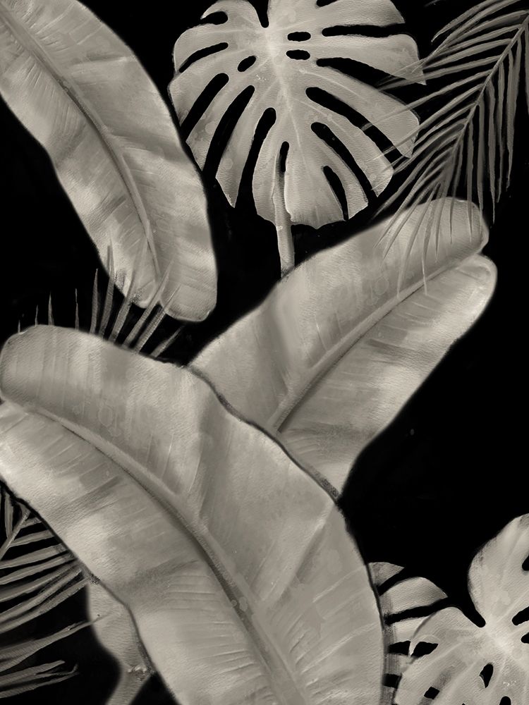 Botanical Fronds Black art print by Matthew Piotrowicz for $57.95 CAD