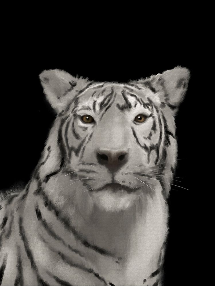 Tiger Black art print by Matthew Piotrowicz for $57.95 CAD