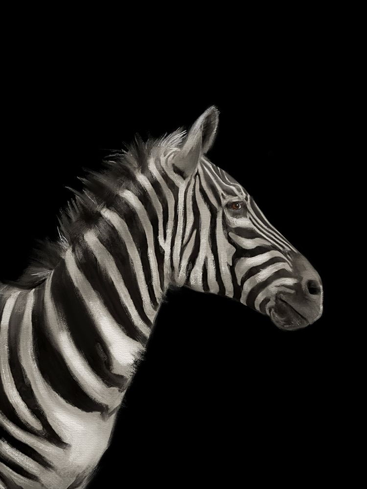 Zebra Black art print by Matthew Piotrowicz for $57.95 CAD