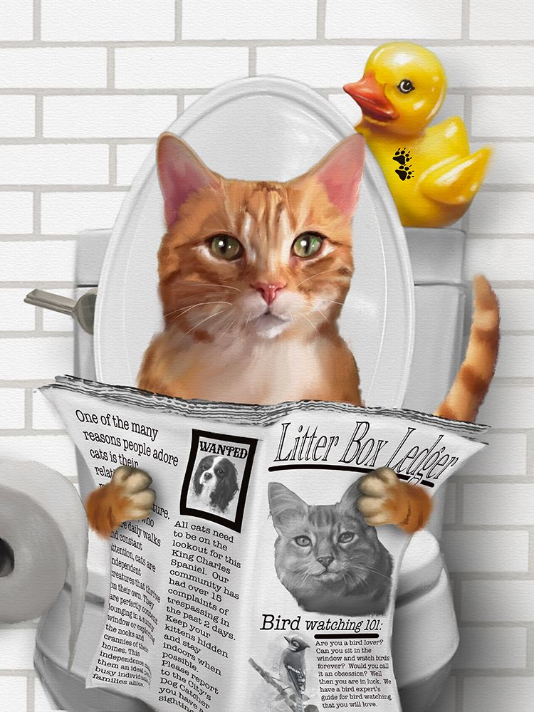 Whimsy Animals Cat On Toilet With Ducky art print by Matthew Piotrowicz for $57.95 CAD