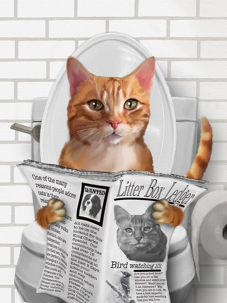 Whimsy Animals Cat On Toilet art print by Matthew Piotrowicz for $57.95 CAD