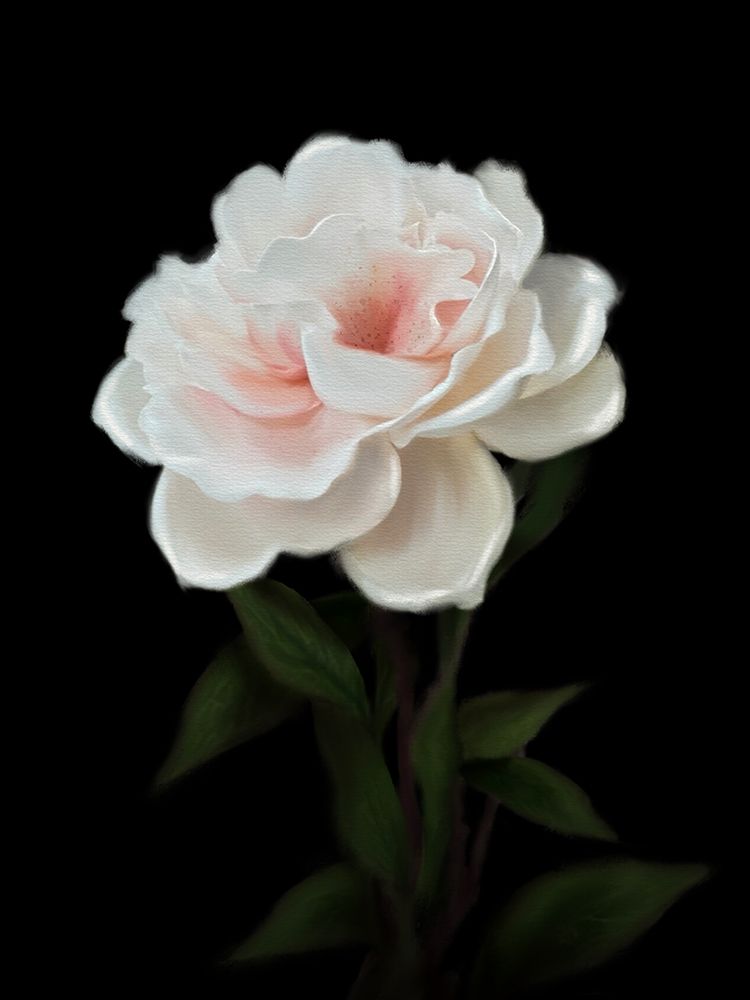 Floral Moody Camellia art print by Matthew Piotrowicz for $57.95 CAD