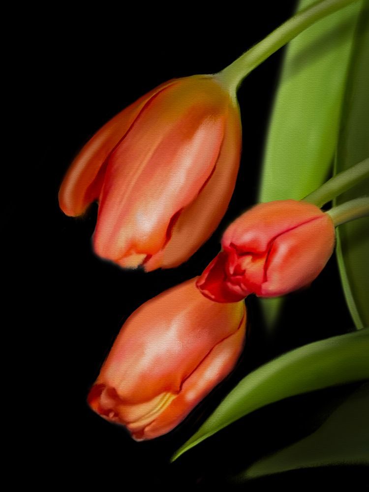 Floral Moody Tulips 1 art print by Matthew Piotrowicz for $57.95 CAD