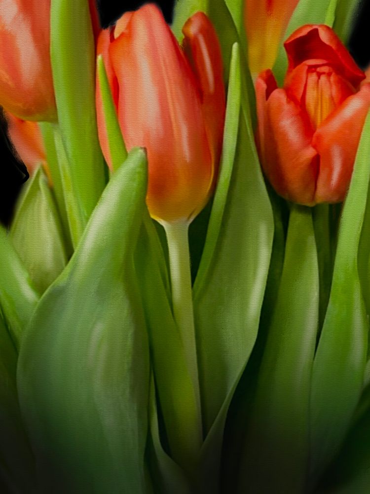 Floral Moody Tulips 2 art print by Matthew Piotrowicz for $57.95 CAD