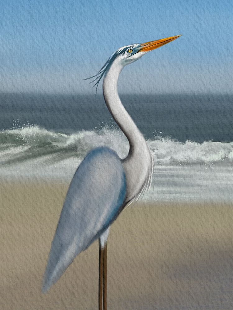 Flag Coastal Blue Heron art print by Matthew Piotrowicz for $57.95 CAD