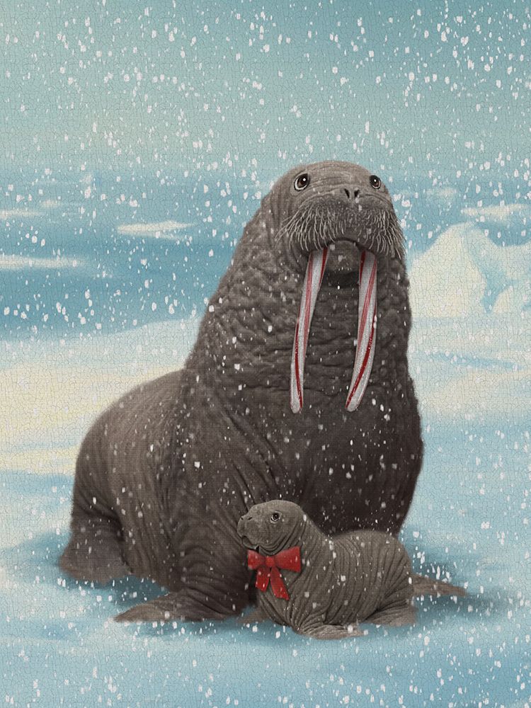Mom And Baby Walrus art print by Matthew Piotrowicz for $57.95 CAD