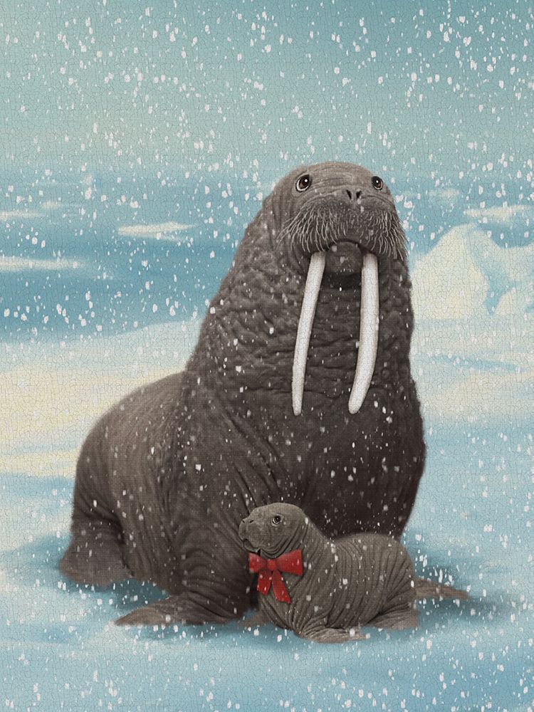 Mom And Baby Walrus White Tusks art print by Matthew Piotrowicz for $57.95 CAD