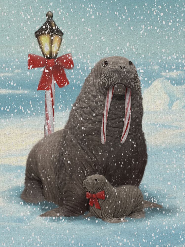 Mom And Baby Walrus North Pole art print by Matthew Piotrowicz for $57.95 CAD