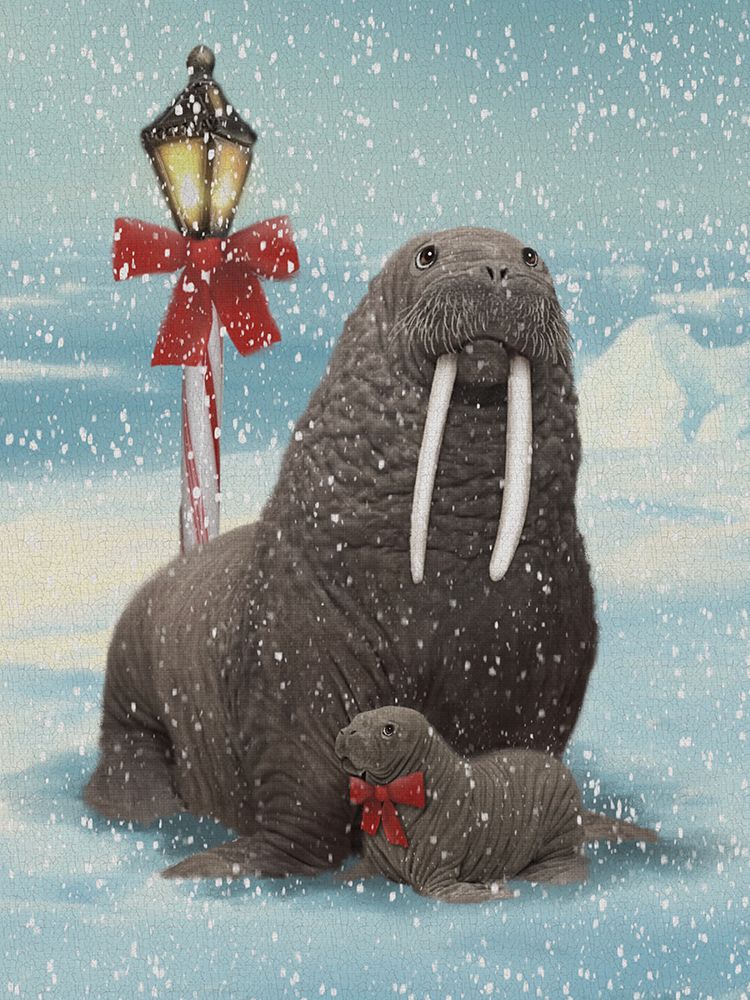Mom And Baby Walrus White Tusks North Pole art print by Matthew Piotrowicz for $57.95 CAD