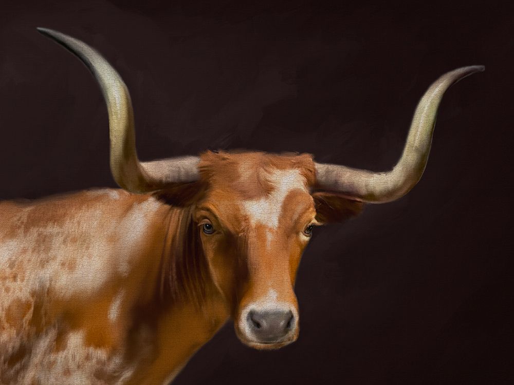 Longhorn Black art print by Matthew Piotrowicz for $57.95 CAD