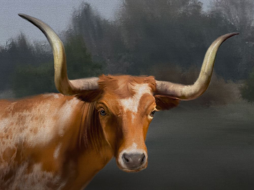 Longhorn Landscape art print by Matthew Piotrowicz for $57.95 CAD
