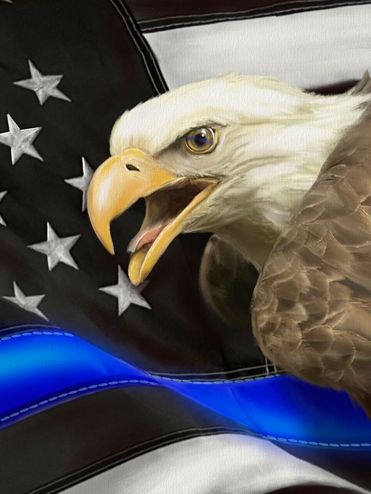 Police Blue Line Eagle art print by Matthew Piotrowicz for $57.95 CAD