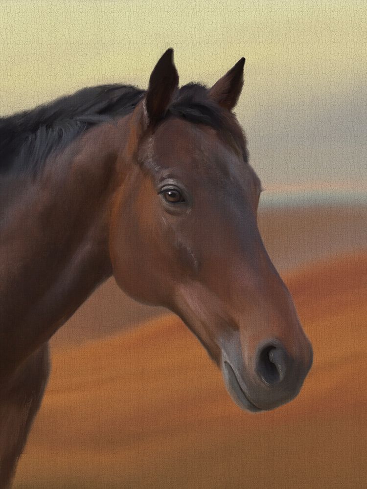 Horse Western Landscape art print by Matthew Piotrowicz for $57.95 CAD