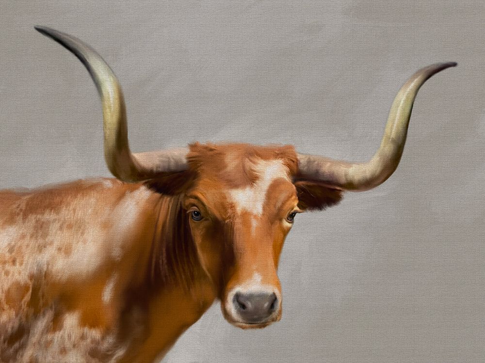 Longhorn Linen art print by Matthew Piotrowicz for $57.95 CAD