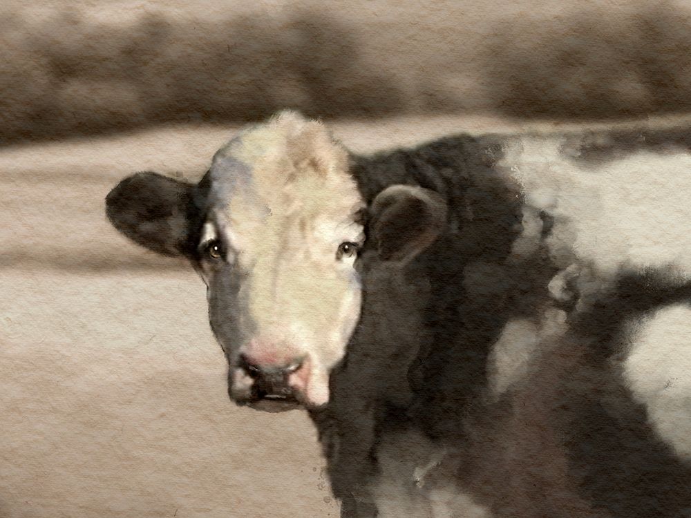 Farm Monochromatic Landscape Cow art print by Matthew Piotrowicz for $57.95 CAD