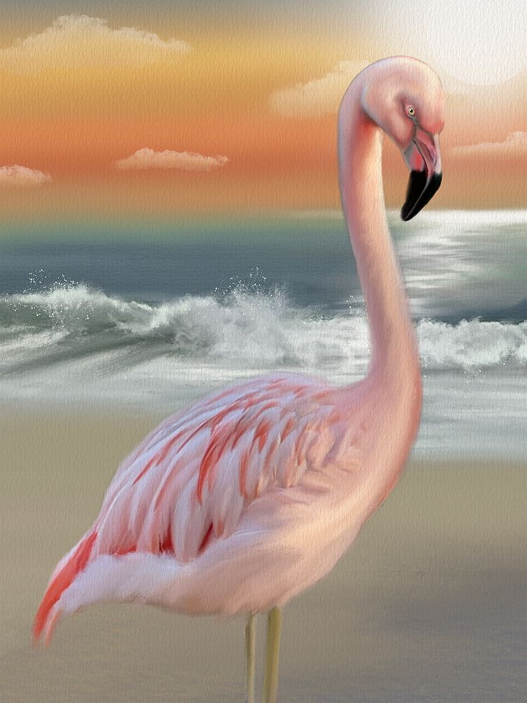 Coastal Beach Flamingo art print by Matthew Piotrowicz for $57.95 CAD