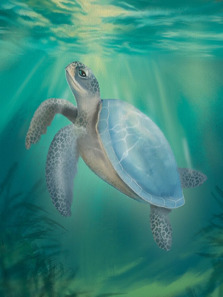 Coastal Beach Sea Turtle art print by Matthew Piotrowicz for $57.95 CAD