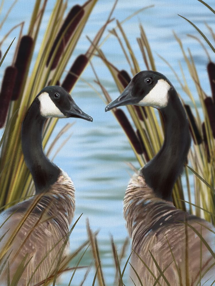Canada Geese 1 art print by Matthew Piotrowicz for $57.95 CAD