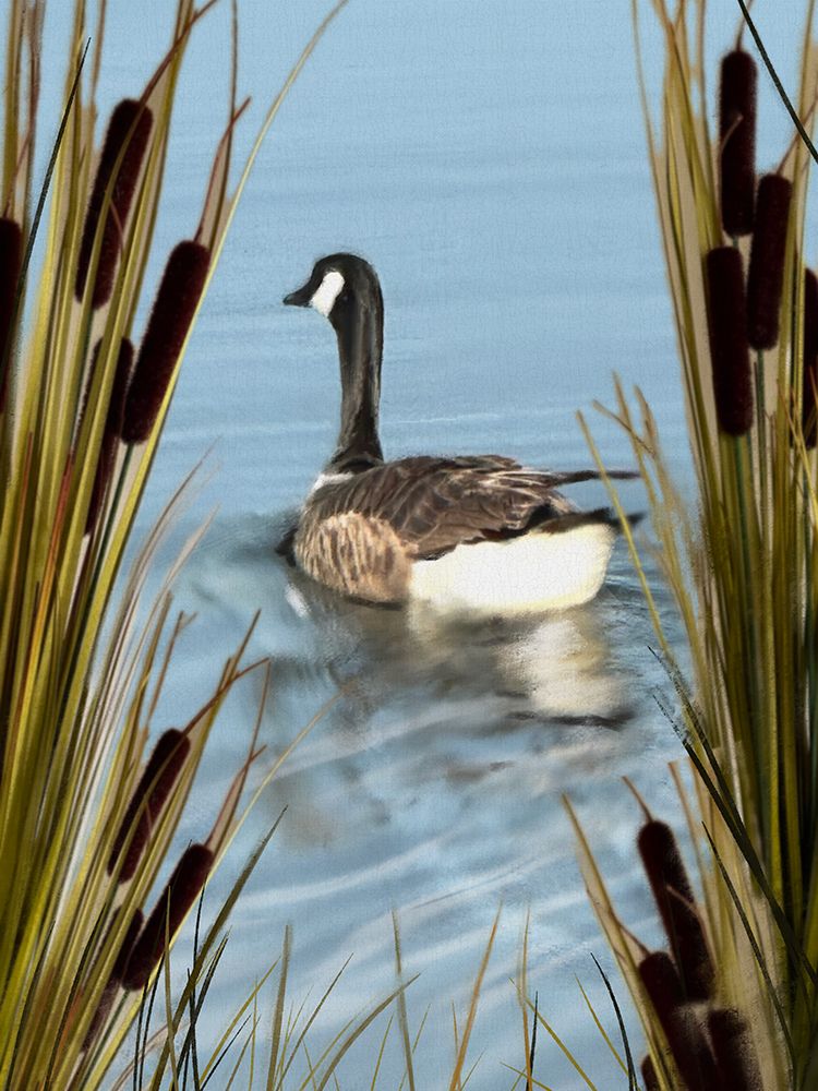 Canada Geese 2 art print by Matthew Piotrowicz for $57.95 CAD
