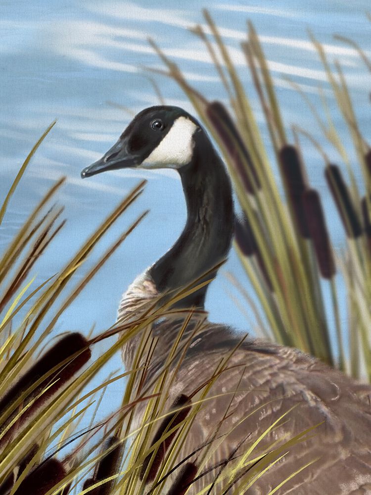 Canada Geese 3 art print by Matthew Piotrowicz for $57.95 CAD