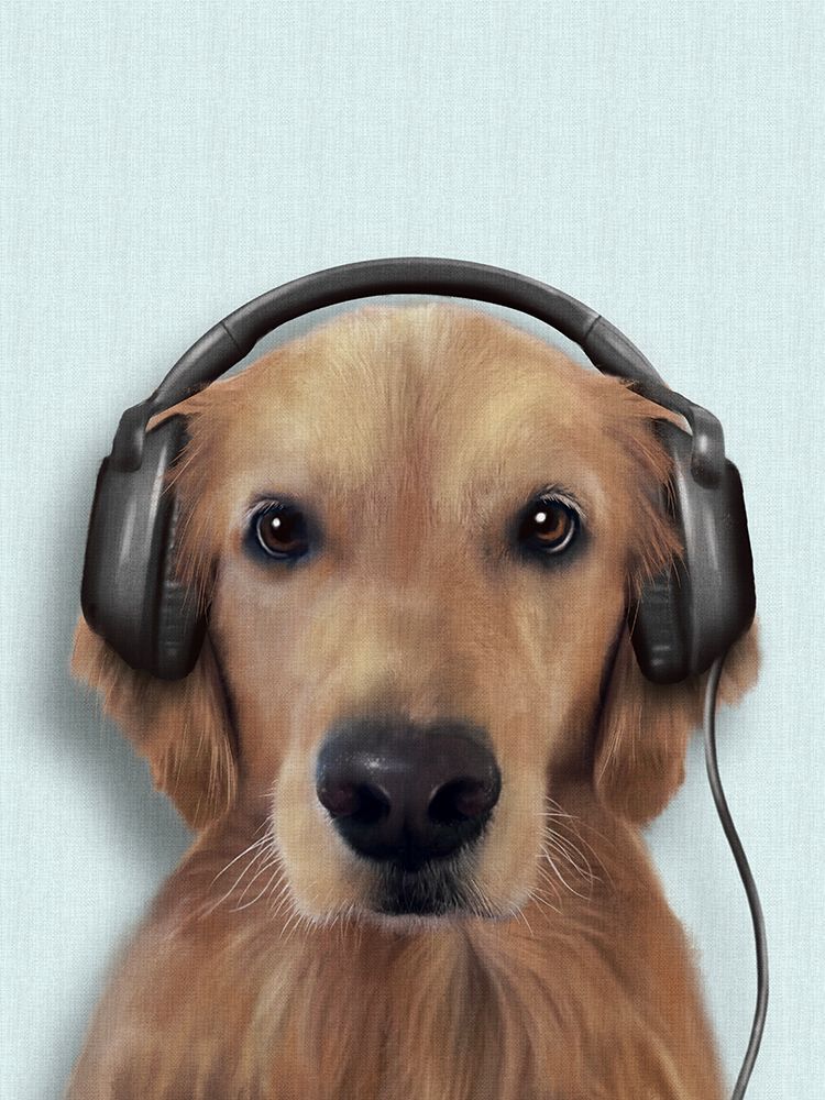 Music Dog Golden Retriever art print by Matthew Piotrowicz for $57.95 CAD