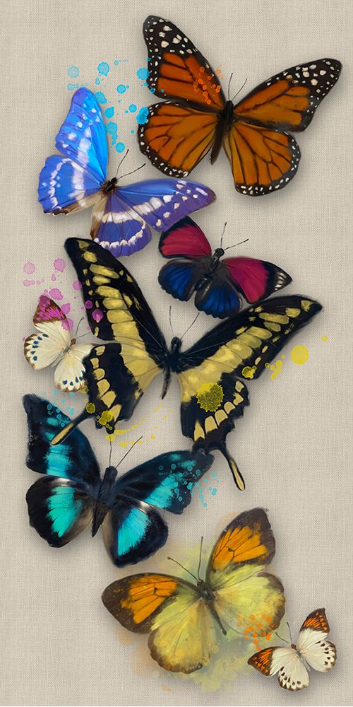 Butterflies Long art print by Matthew Piotrowicz for $57.95 CAD