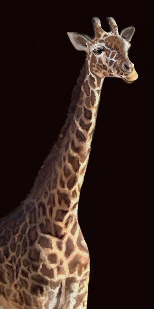 African Animal Giraffe Black art print by Matthew Piotrowicz for $57.95 CAD