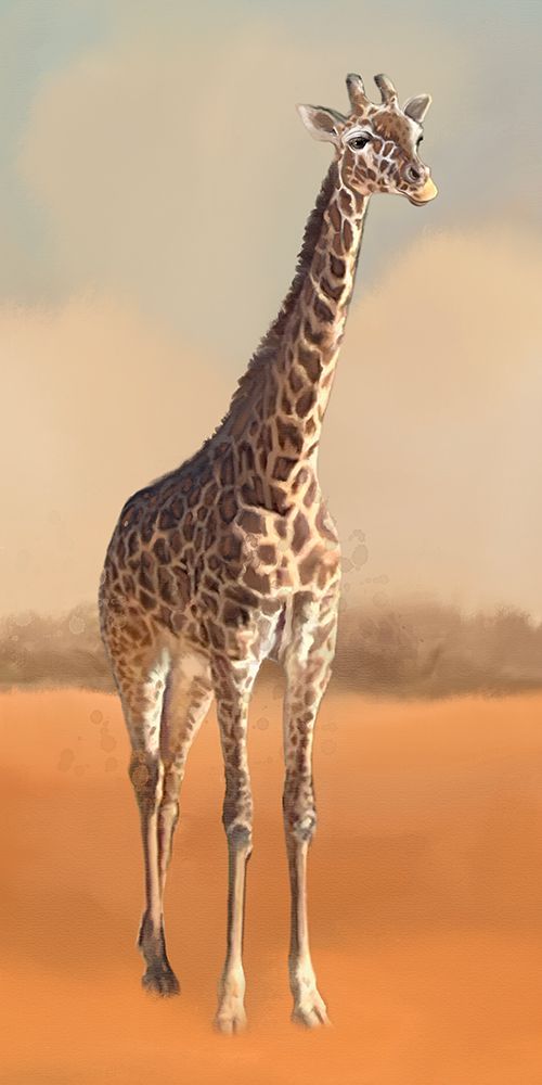 African Animal Giraffe Landscape art print by Matthew Piotrowicz for $57.95 CAD
