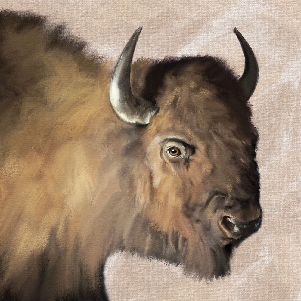 Western Buffalo Neutral art print by Matthew Piotrowicz for $57.95 CAD