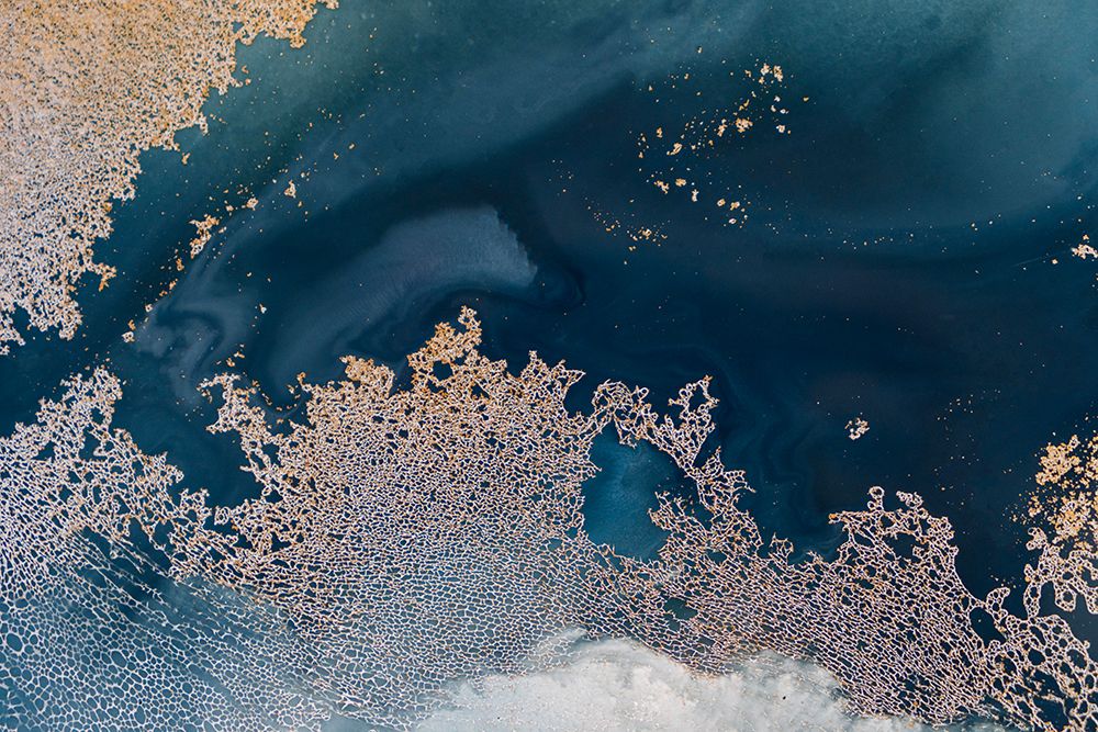 Whispering Reef art print by Petra Meikle de Vlas for $57.95 CAD