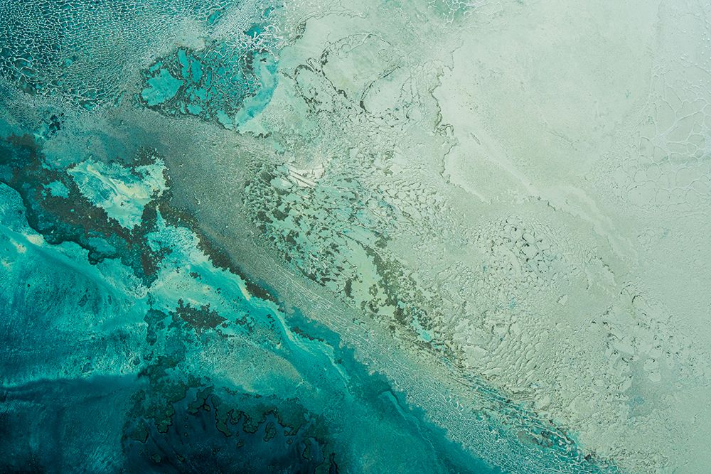 Into The Deep art print by Petra Meikle de Vlas for $57.95 CAD