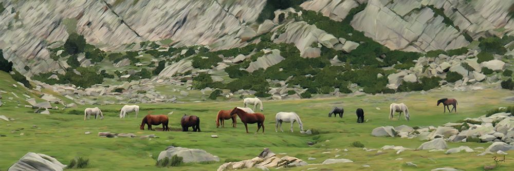 Horses On The Range art print by Renel Peters for $57.95 CAD
