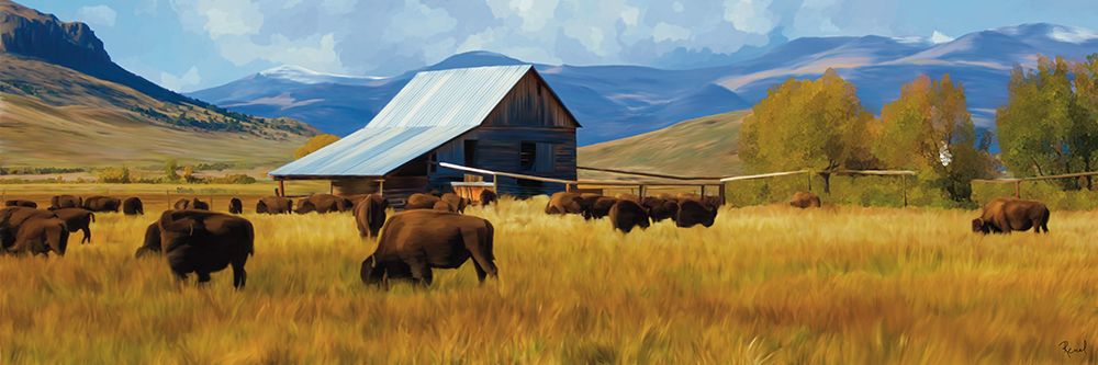 Buffalo On The Range art print by Renel Peters for $57.95 CAD