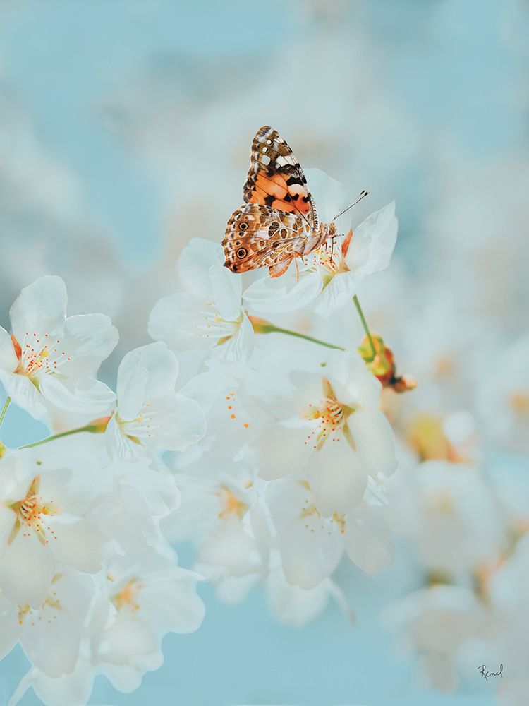 Tasty Blossoms 3 art print by Renel Peters for $57.95 CAD