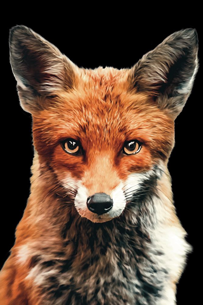 Out In The Wild 5 art print by Renel Peters for $57.95 CAD