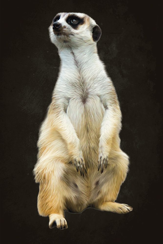 Out In The Wild 6 art print by Renel Peters for $57.95 CAD