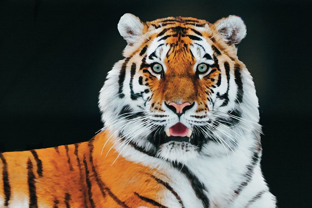 Out In The Wild 10 art print by Renel Peters for $57.95 CAD
