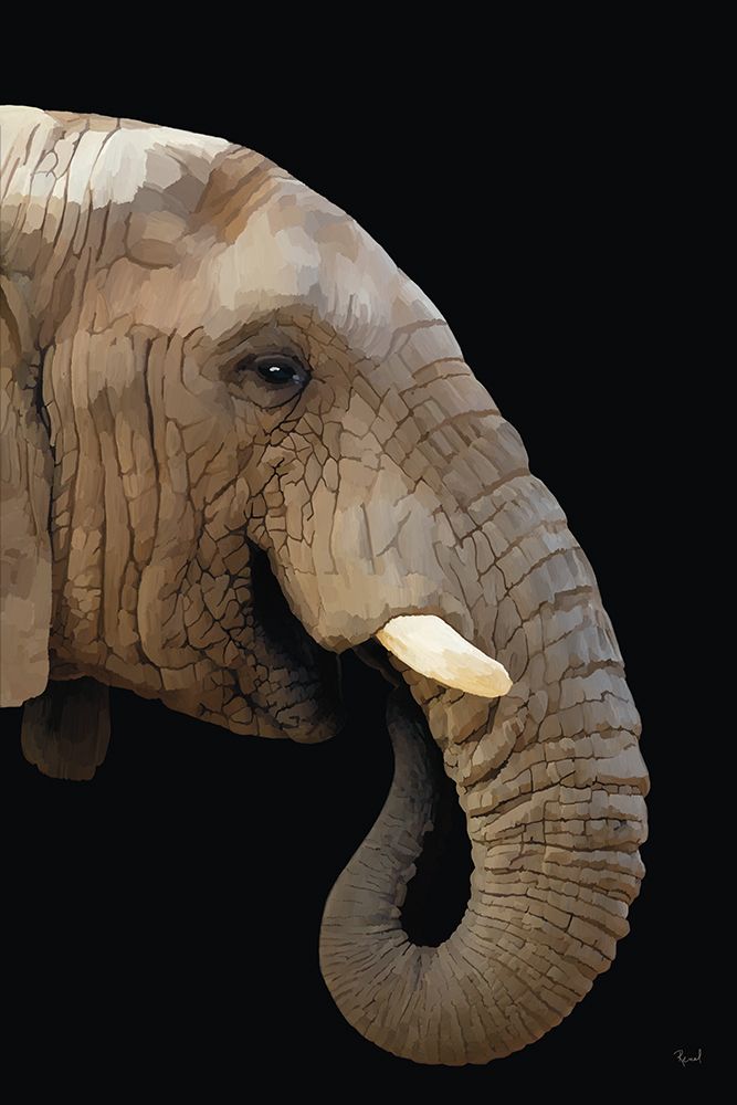 African Elephant art print by Renel Peters for $57.95 CAD