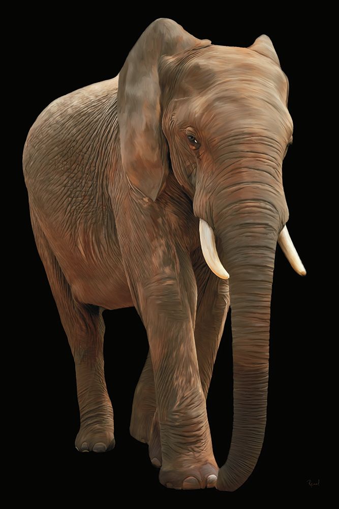 Leader Of The Herd art print by Renel Peters for $57.95 CAD