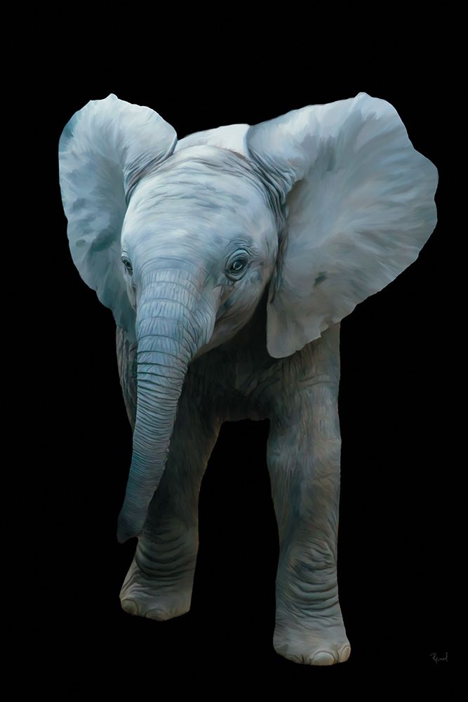 Baby Elephant art print by Renel Peters for $57.95 CAD