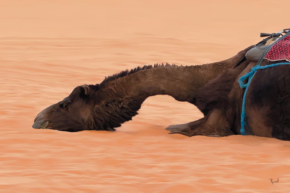 Tired Camel art print by Renel Peters for $57.95 CAD